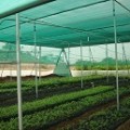 Corporate Social Responsibility