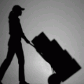 Franchisee and Distribution